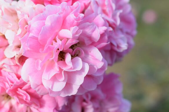 スクリーンショット 2025 10 21 121945