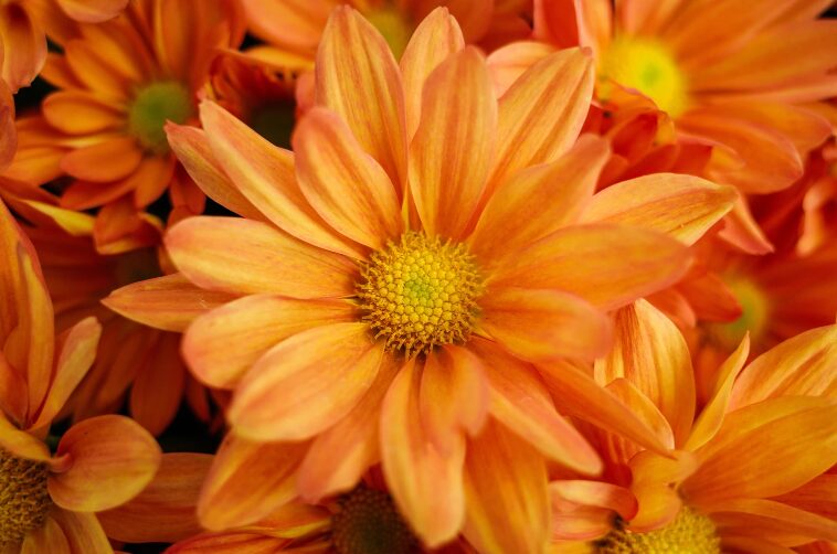 スクリーンショット 2025 10 21 100313