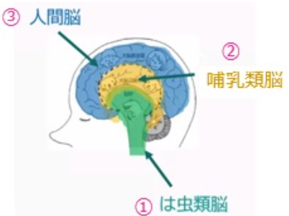 スクリーンショット 2025 10 21 123914