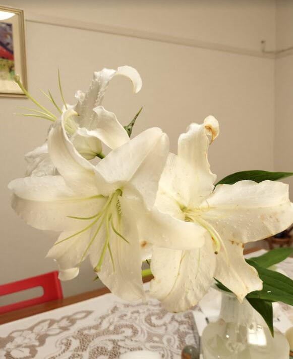 スクリーンショット 2025 10 21 152736